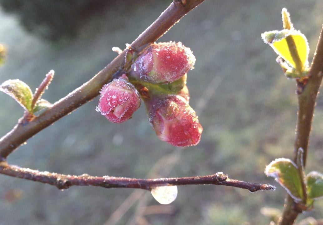 Ausblick Ferienwohnungen Steffi's Spreewaldträume