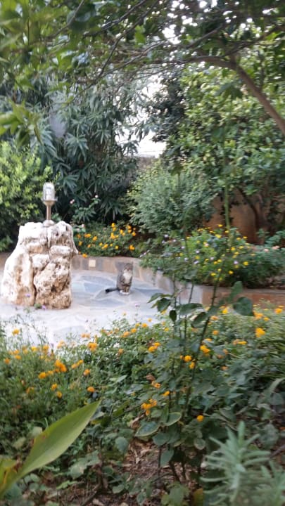 Ausblick Alianthos Garden Hotel