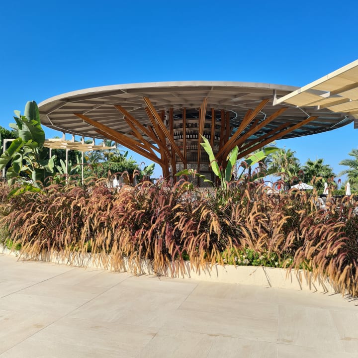 Gastro PALOMA Perissia