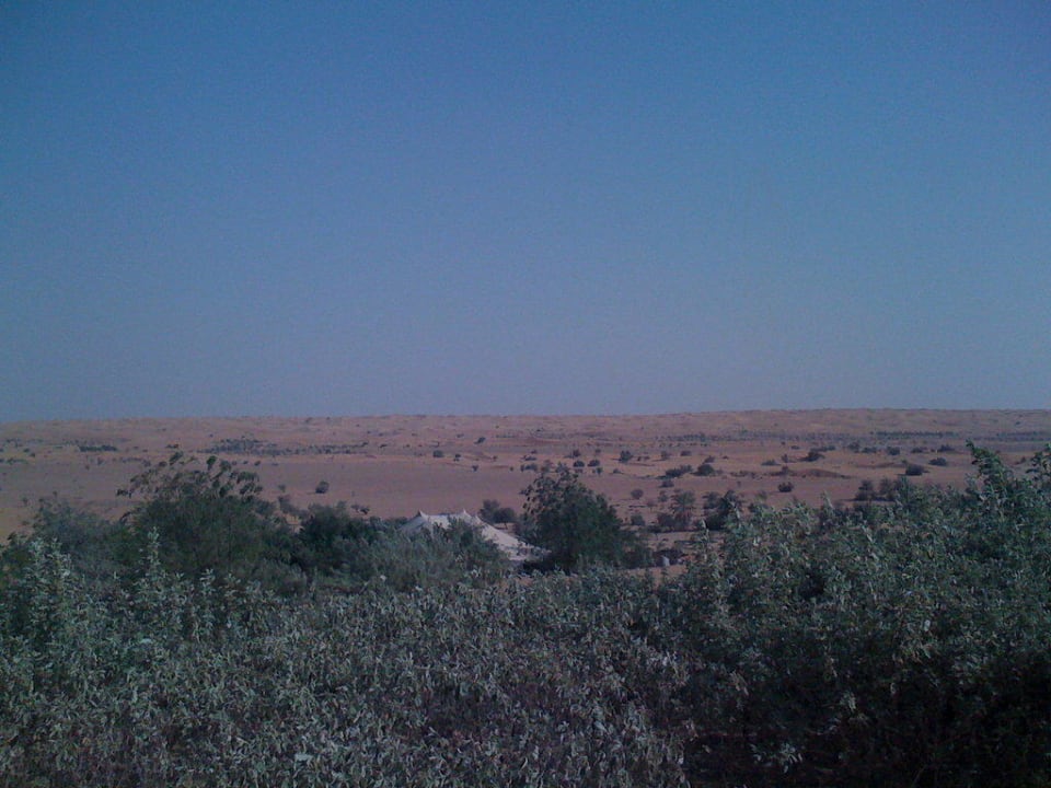 Ausblick von Zimmer 40 Al Maha, A Luxury Collection Desert Resort & Spa