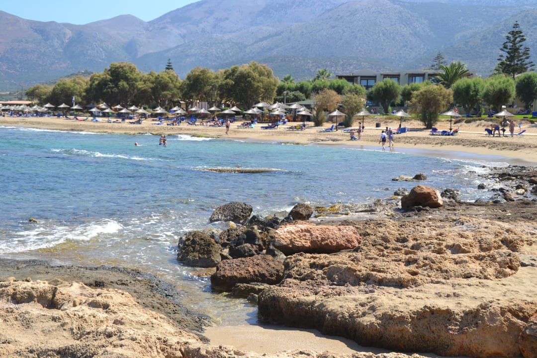 Strand Phãea Cretan Malia