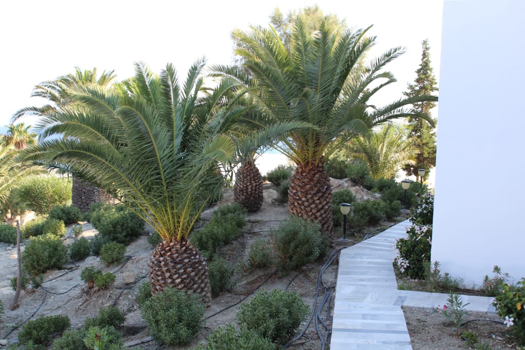 Garten Lagas Aegean Village