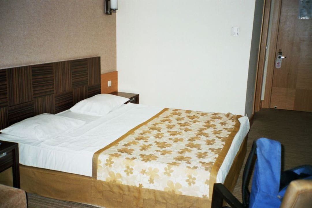 Zimmer Sherwood Exclusive Lara