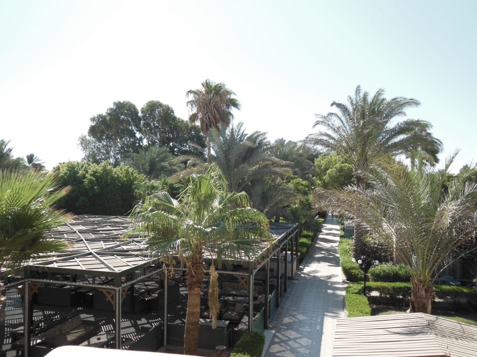 Mit Shishabar Giftun Azur Resort