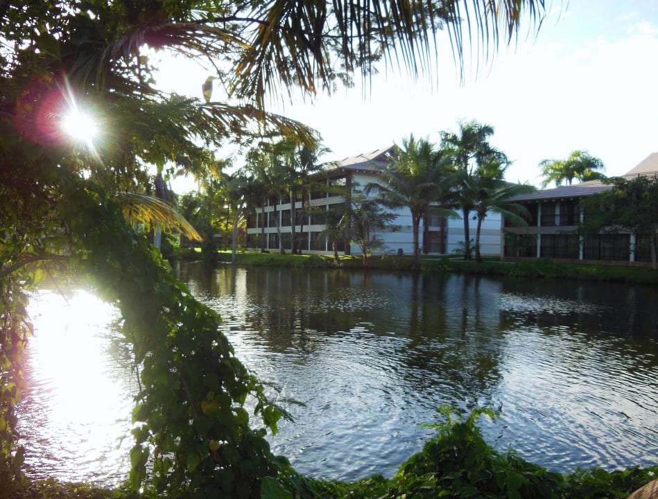 Основные корпуса и пруд Villas Bavaro Resort & Spa