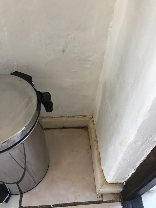 Zimmer Hotel Misty Mountain Reserve