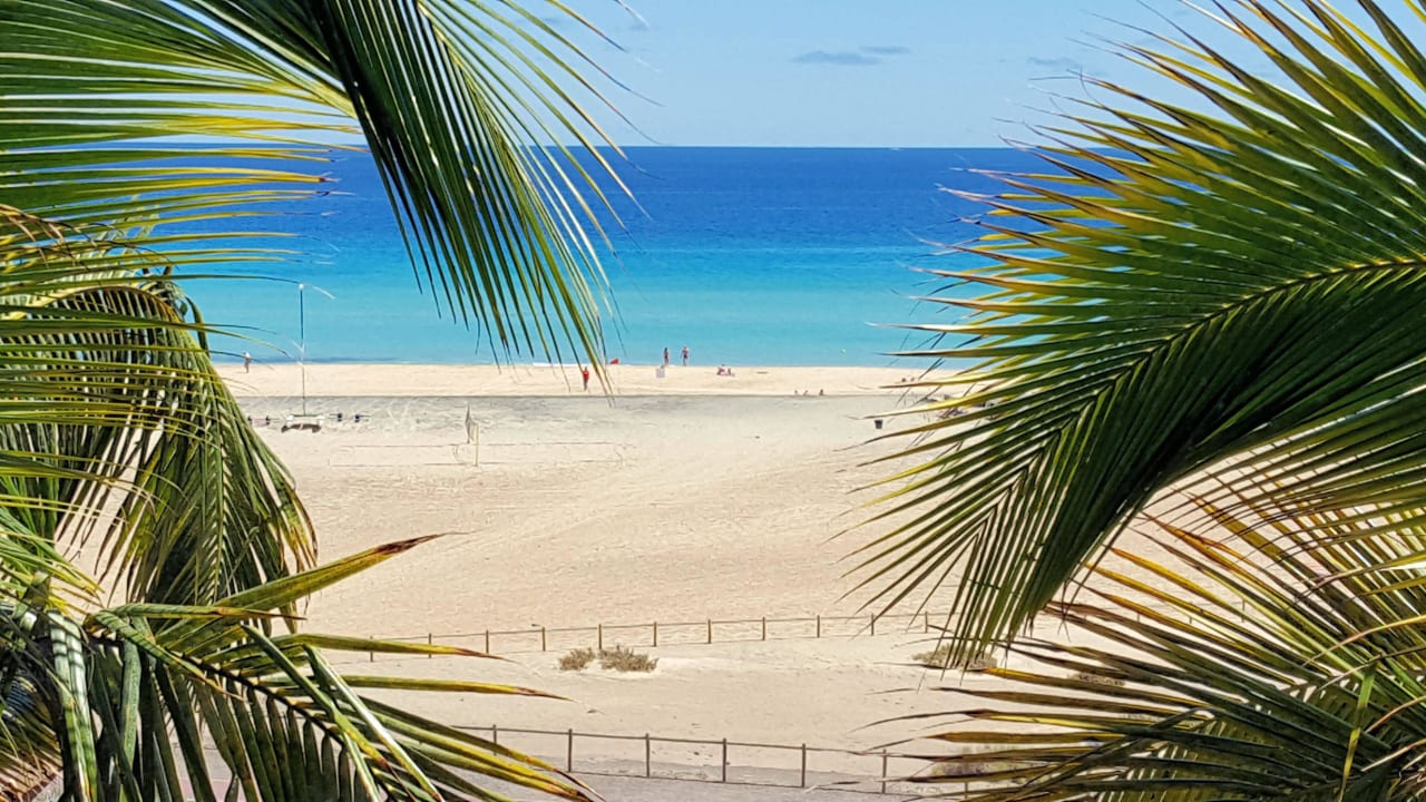 Ausblick vom Zimmer Iberostar Selection Fuerteventura Palace