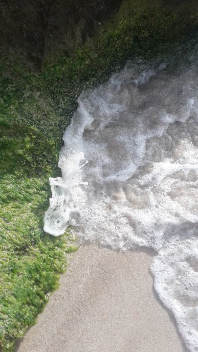 Hotel Serrano Palace Hotel Serrano Palace