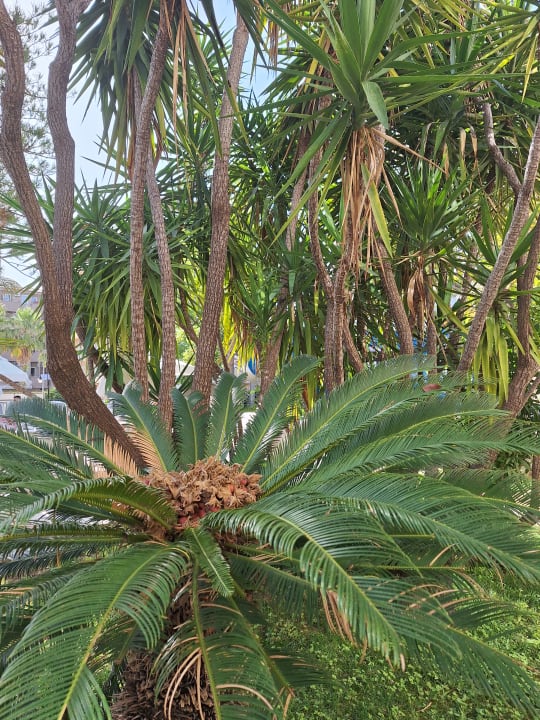 Sonstiges Side Village Hotel