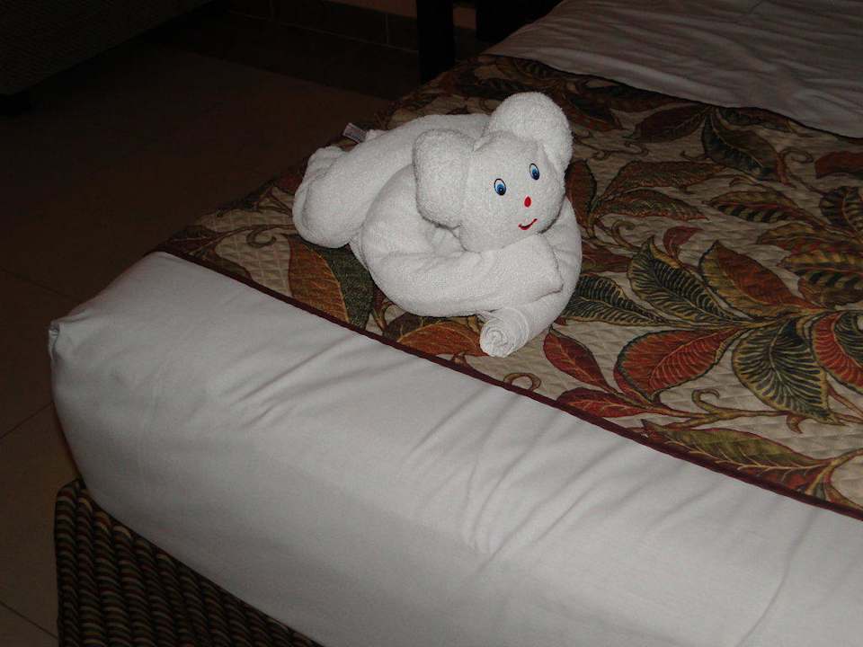 Handtuchfigur Sandos Playacar Beach Resort