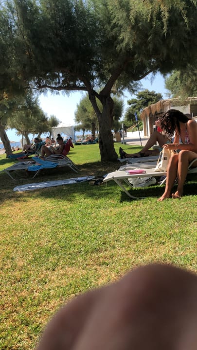 Gartenanlage TUI BLUE Oceanis Beach and Spa Resort