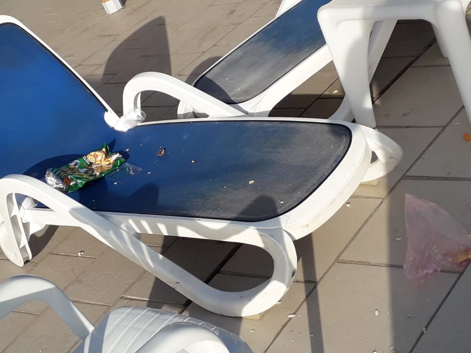 Pool Palm Beach Resort