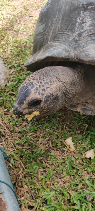 Sonstiges Kempinski Seychelles Resort