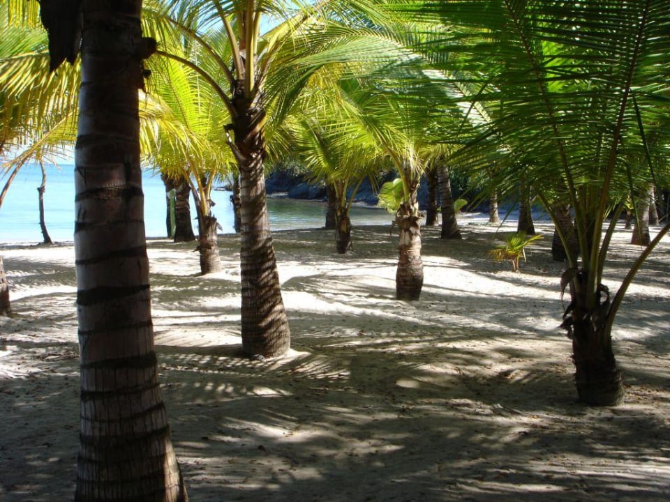 Maimon, RIU Mambo Playabachata Hotel