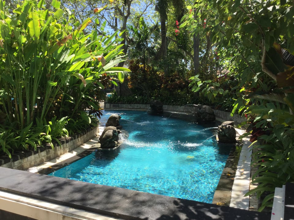 Gartenanlage The Laguna A Luxury Collection Resort & Spa