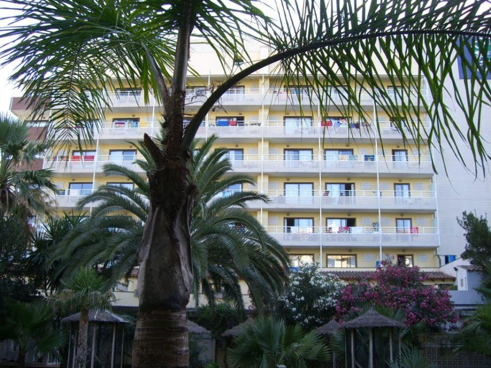 Hotel von hinten Bahía de Alcúdia Hotel & Spa