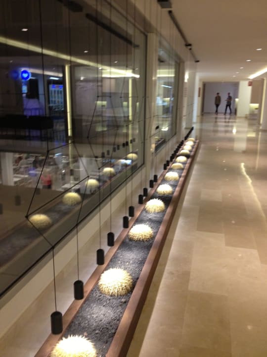 Lobby alltoura Club Hotel Akeah Broncemar