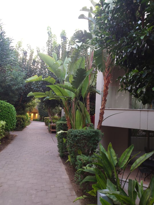 Gartenanlage Atlantica Aegean Blue