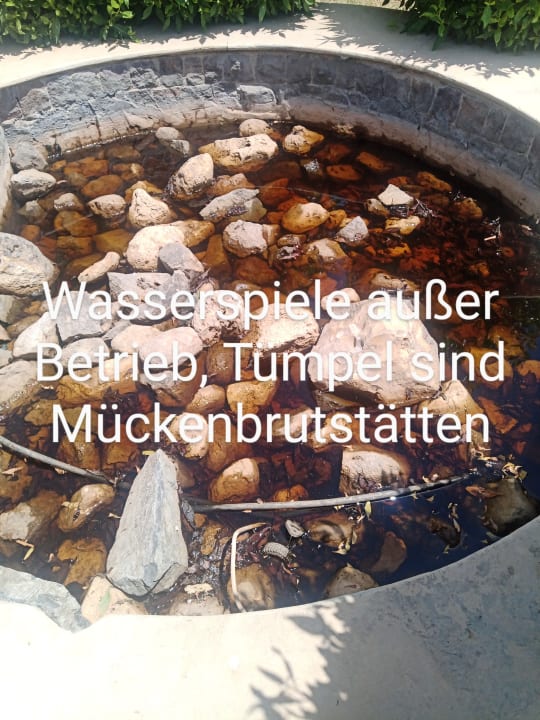 Gartenanlage Coral Hills Resorts & SPA