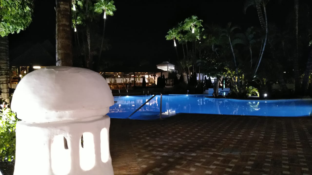 Gartenanlage Dreams Jardín Tropical