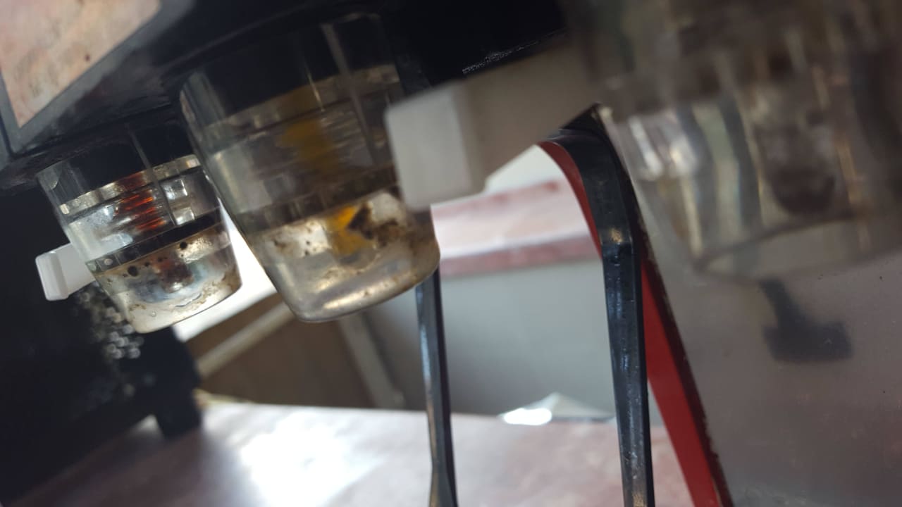 Schimmel an Getränkespemder Club Resort Atlantis