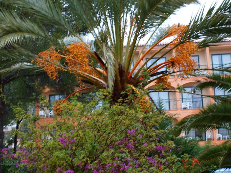 Garten vor Appartment Valentin Somni Hotel & Suites