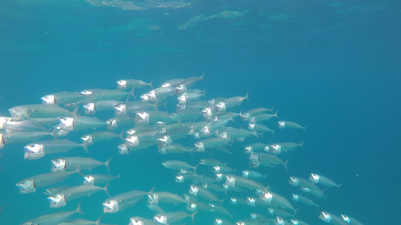 Sport & Freizeit Cleopatra Luxury Resort Makadi Bay