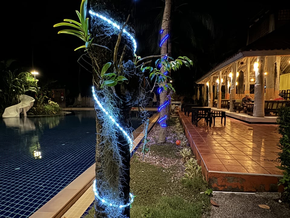 Gartenanlage Palm Galleria Resort