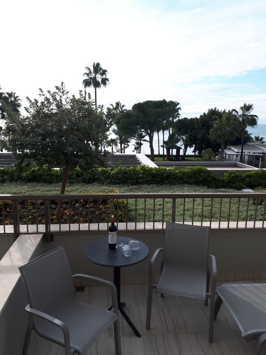 Zimmer Acanthus Cennet Barut Collection