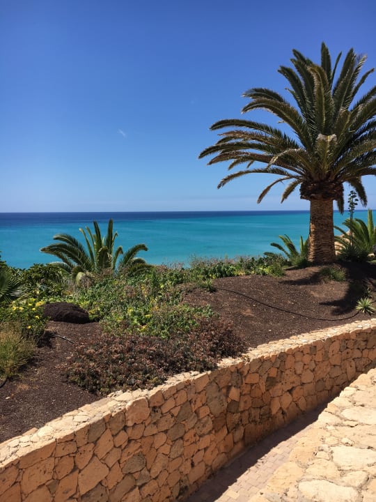 Gartenanlage R2 Pajara Beach