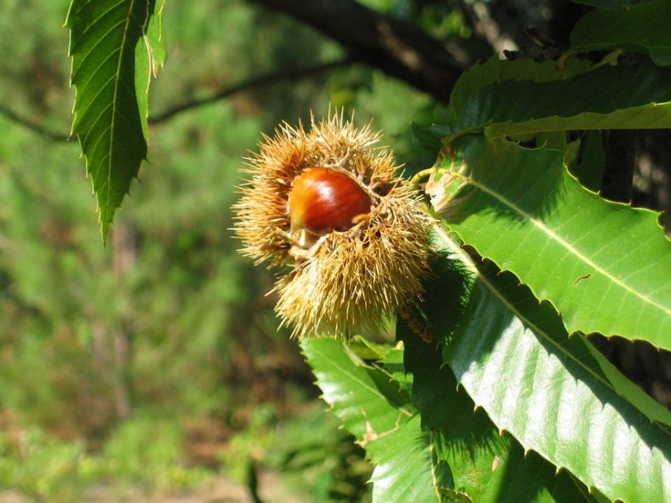 Impressionen Hotel Le Mas Bleu