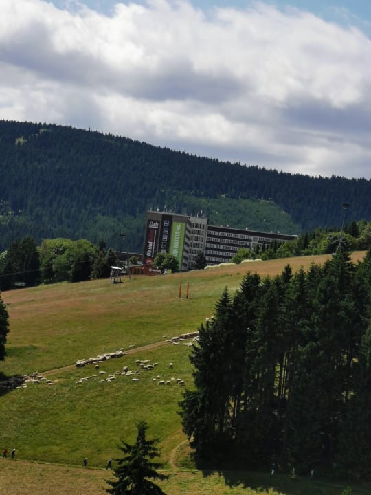 Außenansicht AHORN Hotel Am Fichtelberg