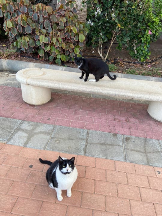 Sonstiges Hotel Riu Palace Jandia