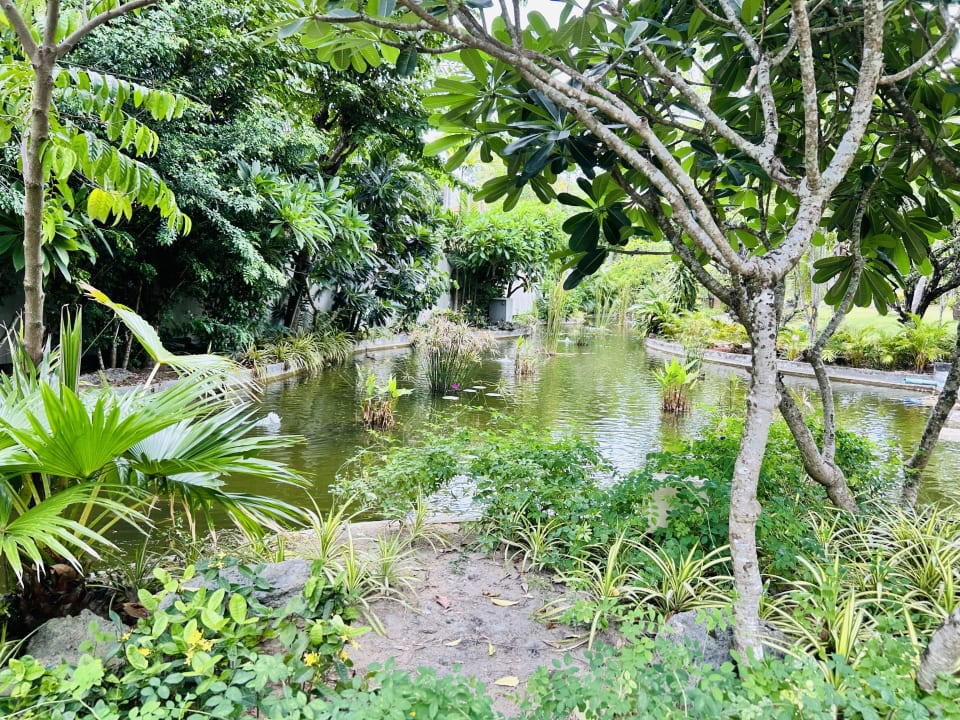 Gartenanlage Bandara Resort & Spa Samui