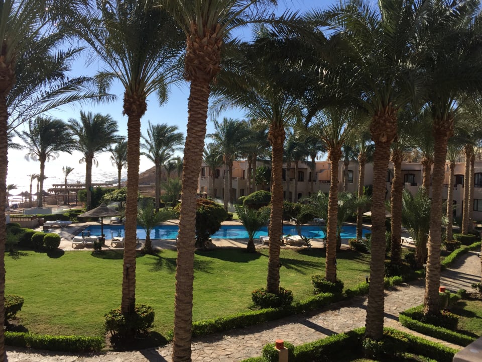 Gartenanlage Tamra Beach Resort