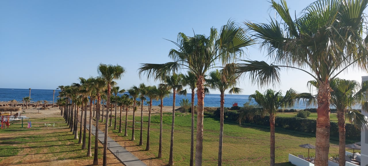 Gartenanlage Delfina Tropic Beach