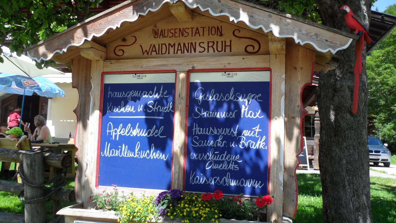 Frischer Marillenkuchen - einfach lecker Pension Waidmannsruh