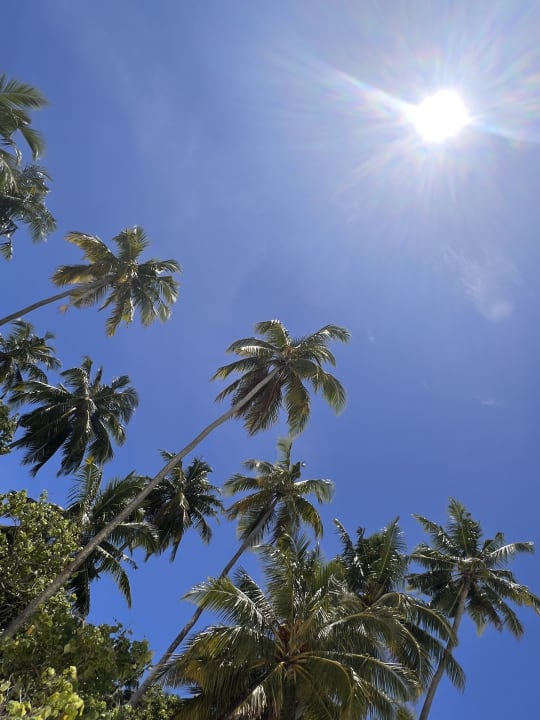 Gartenanlage Filitheyo Island Resort