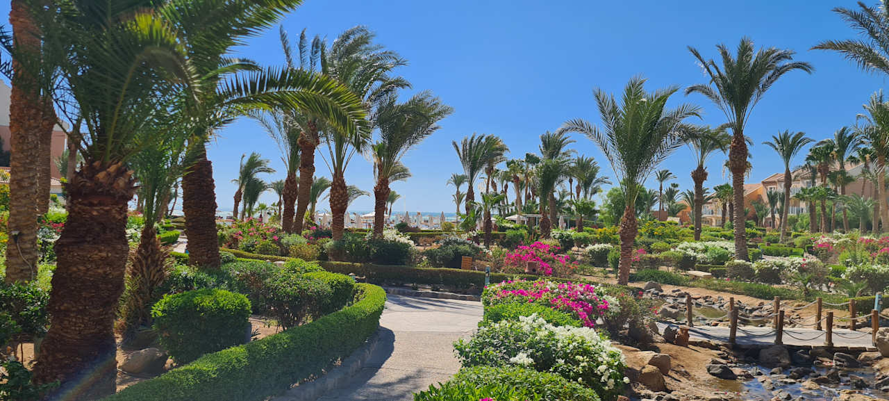 Gartenanlage Mövenpick Resort & Spa El Gouna