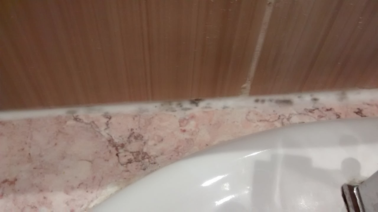 Zimmer Sirenis Tropical Varadero