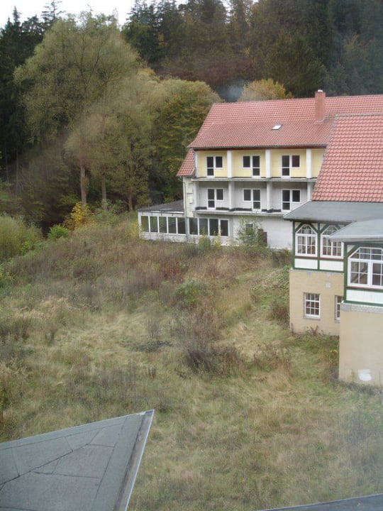 Zimmer mit Aussicht! Ferienhotel Forelle