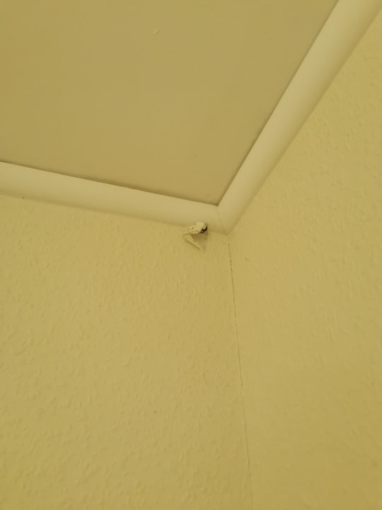 Zimmer Center Parcs Park Bostalsee