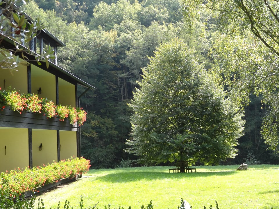 Schöne Natur Land-gut-Hotel Forellenhof