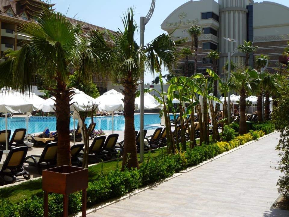 Bananenplantage Port Side Resort Hotel