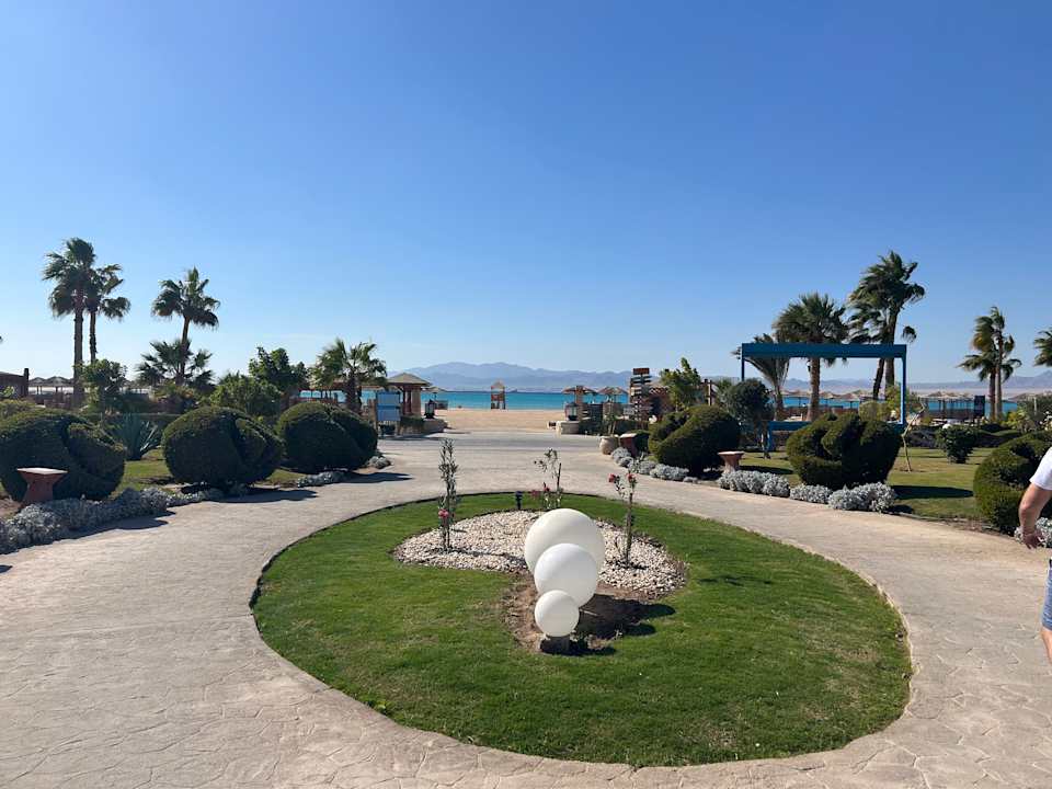 Ausblick Hotel Sheraton Soma Bay Resort