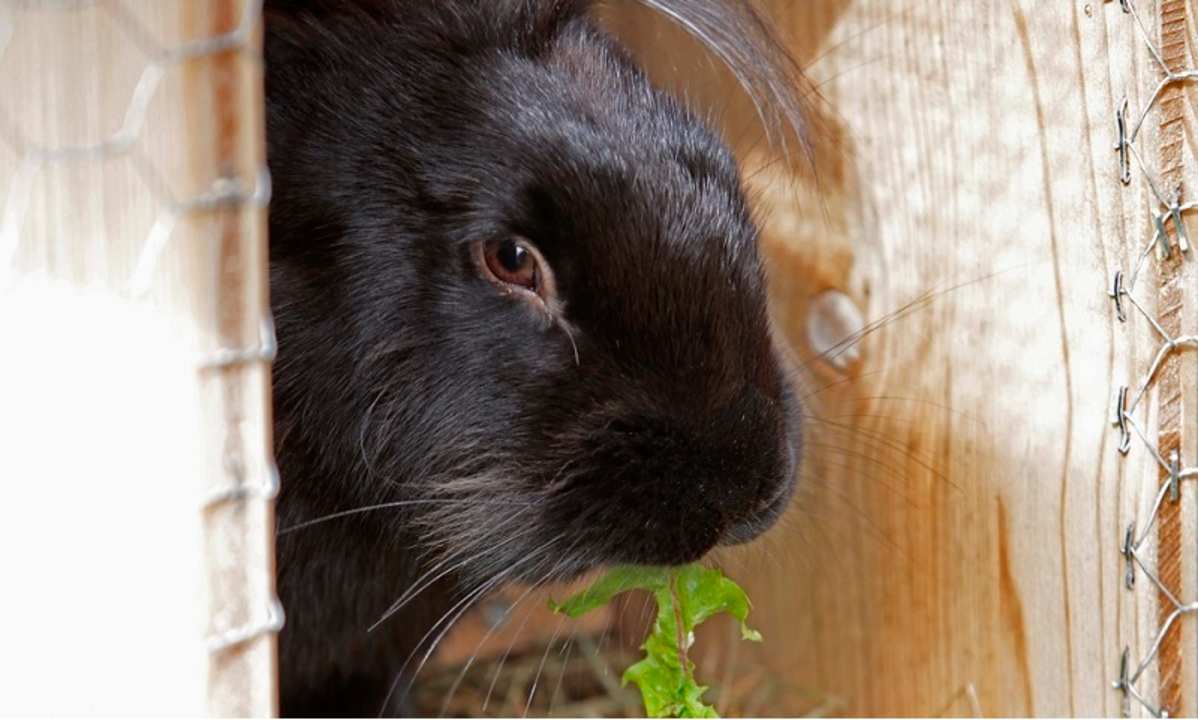 Sonstiges Hofgut Ratzenberg