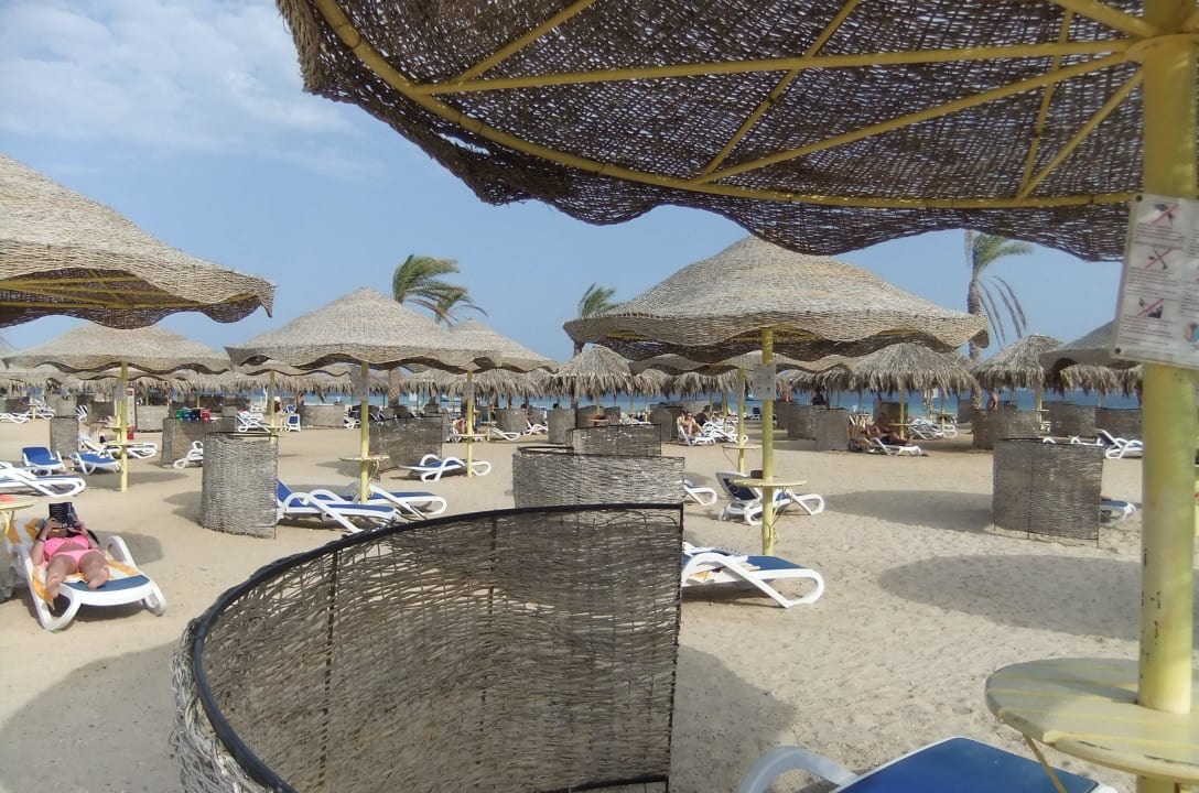 Sonnenliegen, Sohnnenschirme und Windschutz Hilton Marsa Alam Nubian Resort