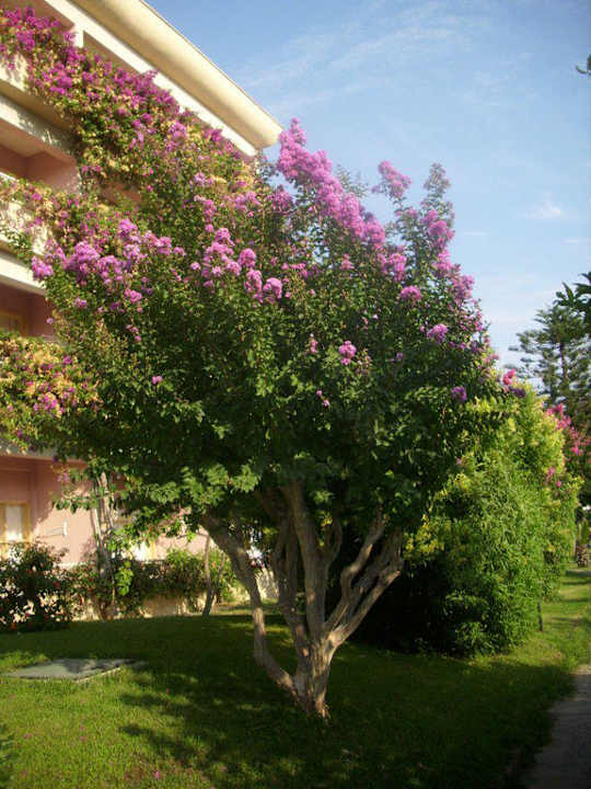 Gartenwege Bieno Club Venüs Hotel &Spa