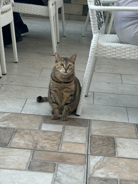 Gastro J'adore Deluxe Hotel & Spa