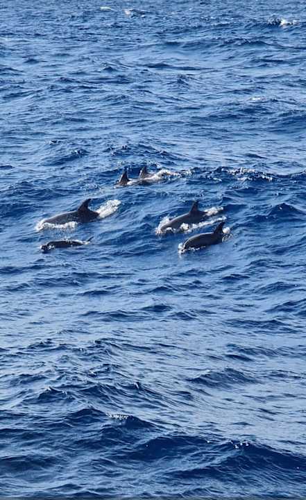 Strand Lazuli Hotel Marsa Alam